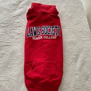 College hoodie / red